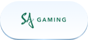 Live Casino Provider